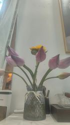 -奥丽维娅美容养生会所