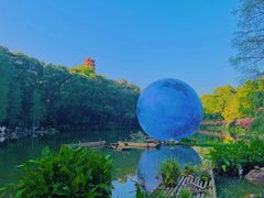 -深圳仙湖植物园