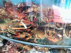 -渔中舟海鲜大排档(普陀沈家门店)