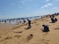 -青岛第三海水浴场