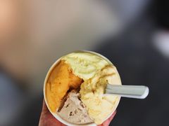 柿子-Dip in Gelato(富民路店)