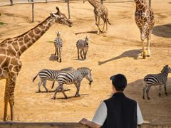 -泉州海丝野生动物世界