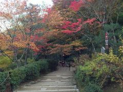 -常寂光寺
