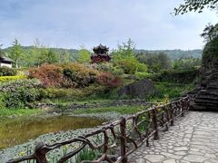 -梭布垭石林景区