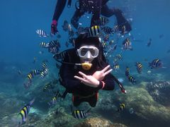 -亚龙湾海底世界