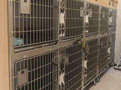 -天时宠物医院24小时疑难病例会诊中心(顾乡大街总院)