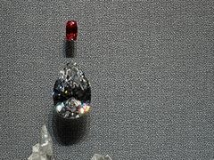 -美国自然历史博物馆