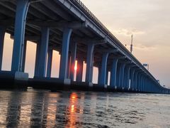 -宝安西湾红树林湿地公园