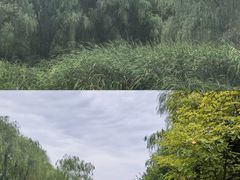 -咸阳湖景区