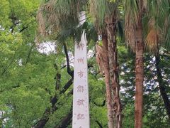 -柳侯公园