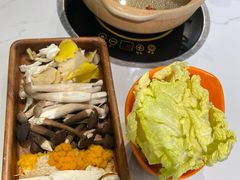 -菌小白·野生菌火锅(时尚天河店)