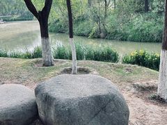 -西安浐灞国家湿地公园