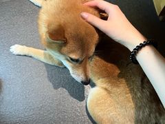 -Onirii Coffee(长乐路店)