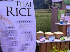 -广州花园酒店