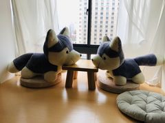 -Husky Go! 哈士奇体验馆·宠物咖啡厅狗咖