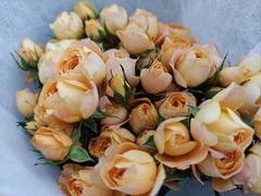 -循礼门鲜花花市(武汉循礼门店)