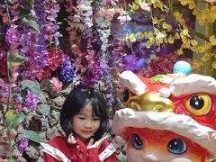 -正佳雨林生态植物园