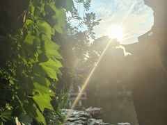 -水绘园