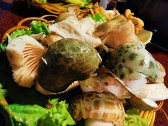 -易门野生菌府·菌海森林(月牙潭公园店)