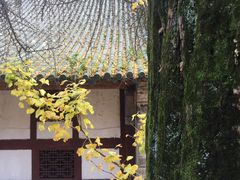 -金堂县云顶石城风景区