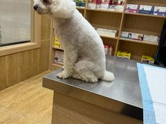 -瑞派名望24h动物医院异宠专科·猫专科·骨科·重症监护分院