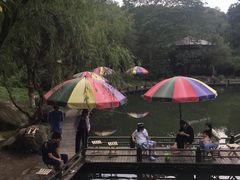 -白马涧龙池景区