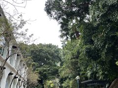 -九龙公园
