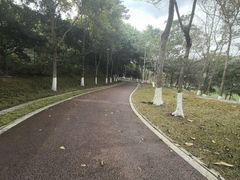 -凤岗南门山森林公园