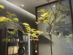 -王府茶楼茶宴·创意菜(朝阳公园店)
