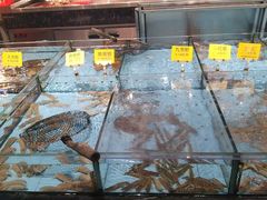 -食鼎记海鲜大排档(美食街店)