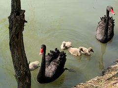 -长兴太湖图影湿地文化园