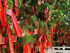 -莆田湄洲妈祖祖庙
