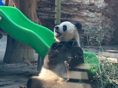 -石家庄市动物园