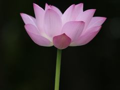 -裕华世纪公园