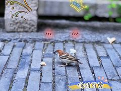 -老门东历史文化街区