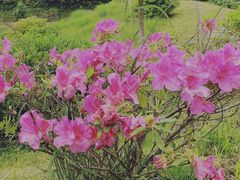 -井冈山风景名胜区