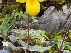 -国家植物园南园