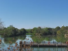 -西溪国家湿地公园