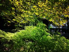-华山儿童公园
