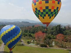 -中国科学院西双版纳热带植物园