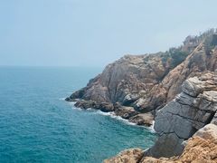 -广东惠东海龟国家级自然保护区