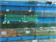 -叶姐海鲜(棋子湾店)
