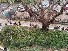 -中山大学中山眼科中心(区庄院区)