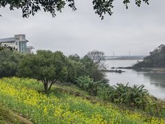 -福建鲤鱼洲酒店