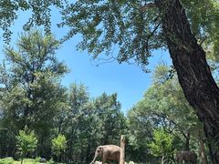 -北京野生动物园