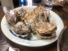 -鲁前海沿儿