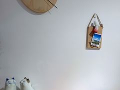 -猫里有甜