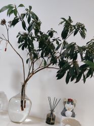 -美肤盾祛痘·问题肌头疗管理中心