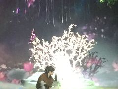 -合肥大剧院