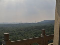 -灵谷景区